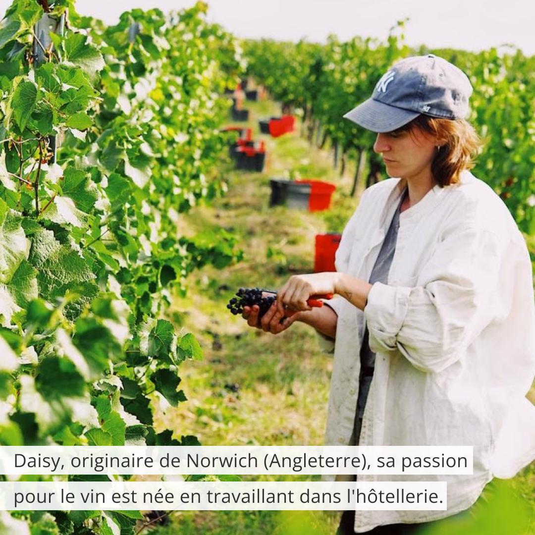 Soma Vines, Vino Naturale, Germania